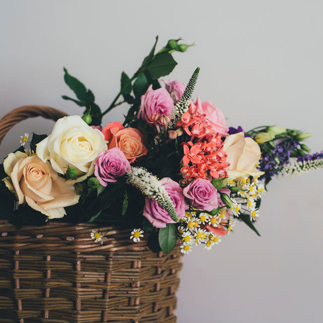 Birth Flowers and the Meaning Behind Them