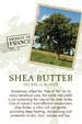 100% Pure Shea Body Butter - Unscented
