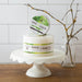 Shea Body Butter - Unscented
