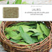 Laurel Soap Bar