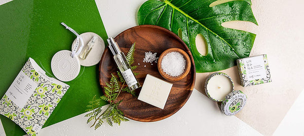 Roots + Rain Ceramic Stone Diffuser – Pré de Provence