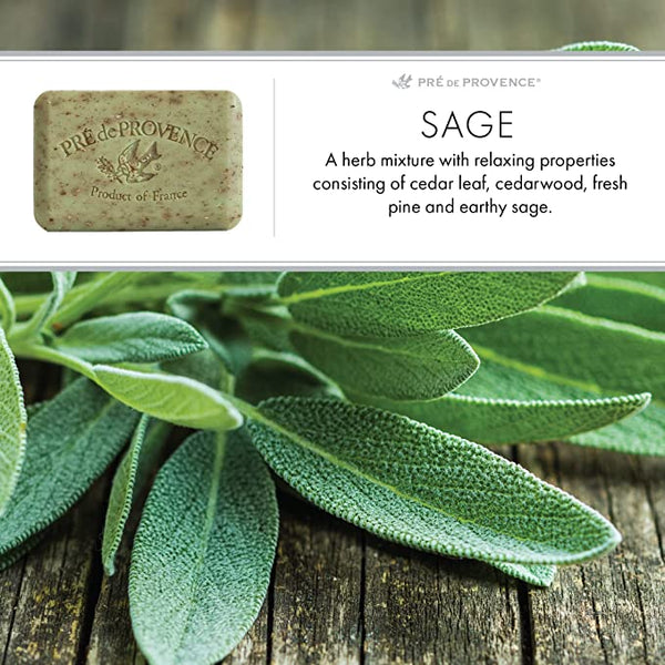 Sage 250g Soap Bar – Little Red Hen