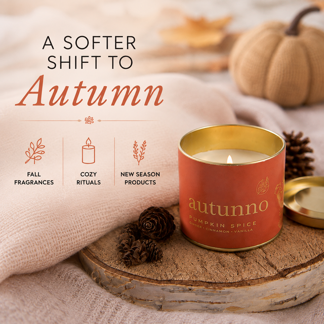Seasonal Transition: A Softer Shift to Autumn