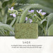 Sage Soap Bar