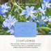 Starflower Soap Bar