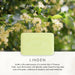 Linden Soap Bar