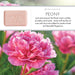 Peony 250g Soap Bar Set of 2