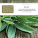 Sage 150g Soap Bar Set of 3