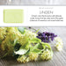 Linden 250g Soap Bar Set of 2