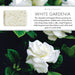 White Gardenia 150g Soap Bar Set of 3