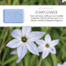 Starflower 250g Soap Bar Set of 2