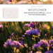 Wildflower 150g Soap Bar Set of 3