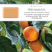 Persimmon 150g Soap Bar Set of 3