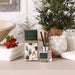 Natale - Petite Reed Diffuser - Noble Fir & Cedarwood